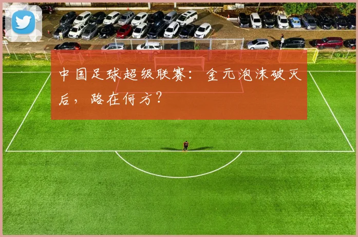 中国足球超级联赛:金元泡沫破灭后,路在何方?